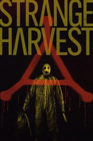 Strange Harvest (2025) Dual Audio [Hindi Dubbed & English] WEB-DL 480p, 720p & 1080p | HEVC | Full Movie Download & Watch Online – GDrive | ESub | CineBongo.Com