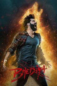 Bhediya (2022) Bengali Dubbed WEB-DL 480p, 720p & 1080p | HEVC | Full Movie Download & Watch Online – GDrive | ESub | CineBongo.Com