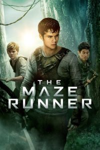 The Maze Runner (2014) Dual Audio [Hindi Dubbed & English] BluRay 480p, 720p, 1080p & 4K-2160p | Full Movie Download & Watch Online – GDrive | ESub CineBongo.Com