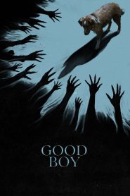 Good Boy (2025) English WEB-DL 480p, 720p & 1080p | HEVC | Full Movie Download & Watch Online – GDrive | ESub | CineBongo.Com