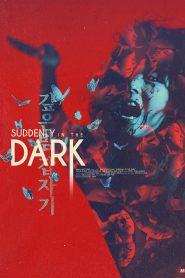 Suddenly in the Dark (1981) Dual Audio [Hindi Dubbed & English] BluRay 480p, 720p & 1080p | HEVC | Full Movie Download & Watch Online – GDrive | ESub | CineBongo.Com