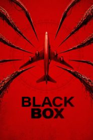 Black Box (2026) Full Movie Download & Watch Online | Sunflixbd.com