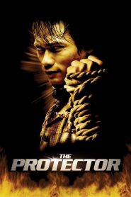 The Protector (2005) Full Movie Download & Watch Online | Sunflixbd.com