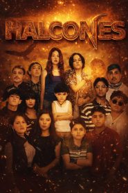 Falcons (2026) Full Movie Download & Watch Online | Sunflixbd.com