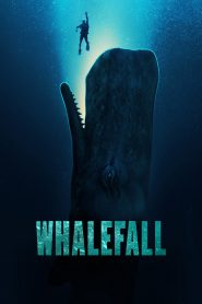 Whalefall (2026) Full Movie Download & Watch Online | Sunflixbd.com